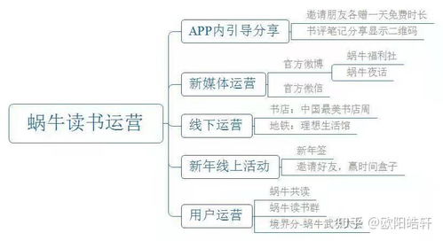产品运营的制胜之道 方法与路径全解析